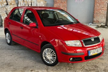 Skoda Fabia 1,4 16v  opony wielosezonowe Film YouTube/TikTok